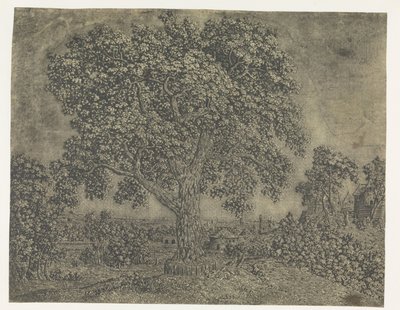 A grande árvore de Hercules Segers