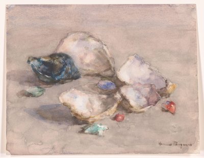 Conchas na praia de Herman Bogman (signed by artist)
