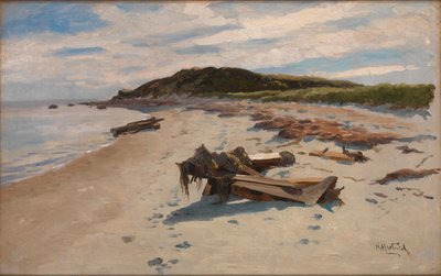 Cape Cod, Praia de Herman Hartwich