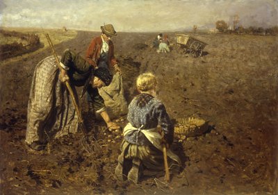 A Colheita de Batata de Herman Hartwich