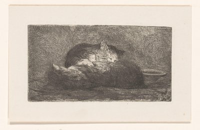 Dois gatos de Herman Johannes van der Weele