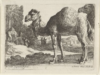 camelos Paisagens com animais (título da série) de Herman van Swanevelt