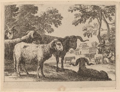 Carneiros de Herman van Swanevelt