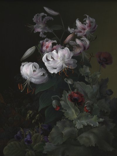  de Hermania Sigvardine Neergaard