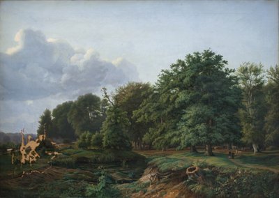 A Forrest perto de Hellebæk no norte da Zelândia. Tarde. de Hermann Carmiencke