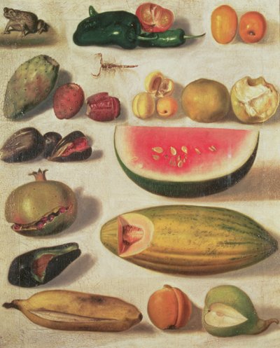 Natureza morta com frutas e sapo de Hermenegildo Bustos