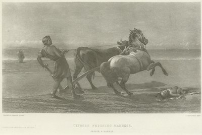 Ulysses fingindo loucura (gravura) de Heywood Hardy
