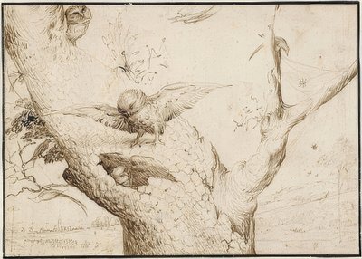 Eulennest. Um 1505-10 de Hieronymus Bosch