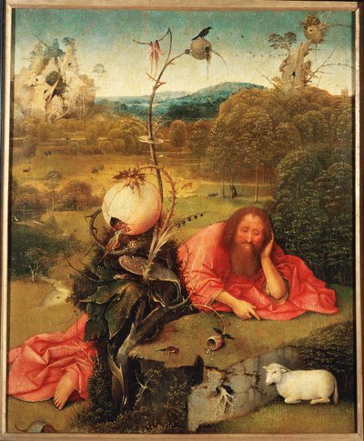 São João Batista em meditação (óleo sobre madeira) de Hieronymus Bosch