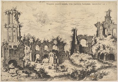 Vista das ruínas do Monte Palatino com fachada trabecificada à esquerda e arcadas no centro, fr ..., 1550. de Hieronymus Cock