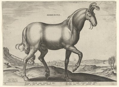 Cavalo da Armênia (Armênio) Armênios (título no objeto) Raças de Cavalos dos Estábulos Reais de Don Juan da Áustria (título da série) Equile Ioannis Austriaci Caroli (título da série) de Hieronymus Wierix