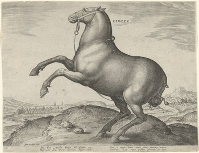 Cavalo da Cítia Cimber (título no objeto) Raças de Cavalos dos Estábulos Reais de Don Juan da Áustria (título da série) Equile Ioannis Austriaci Caroli (título da série) de Hieronymus Wierix