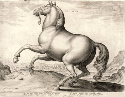 Gallicus da série Cavalos do estábulo de Don Juan da Áustria (gravura em wove) de Hieronymus or Jerome Wierix