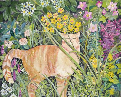 Gato e grama longa, 1996 de Hilary Jones