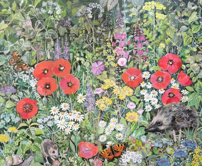 Ouriço entre as flores de Hilary Jones