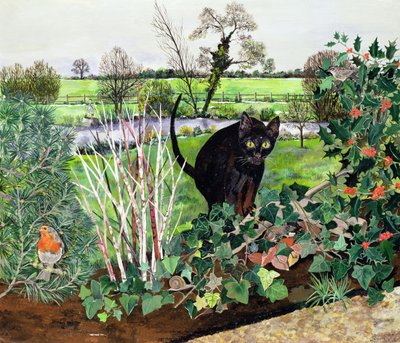 Gato de Inverno de Hilary Jones