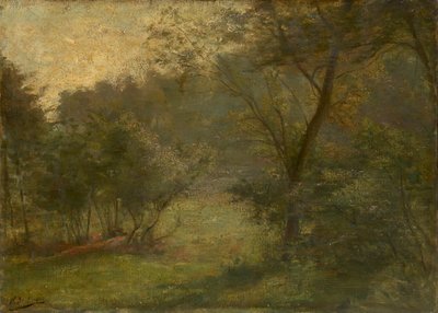 Vista da floresta de Hippolyte Boulenger