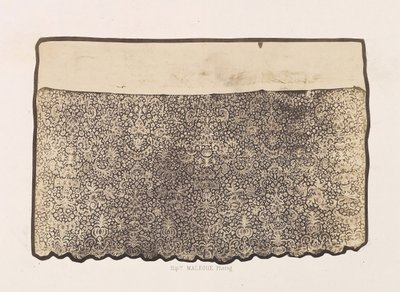 Renda Alb, Pertencente ao Convento da Visitação, 1857. de Hippolyte Malègue