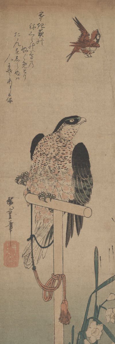 Falcão em Perch, Sparrow, e Narciso de Hirokage Utagawa