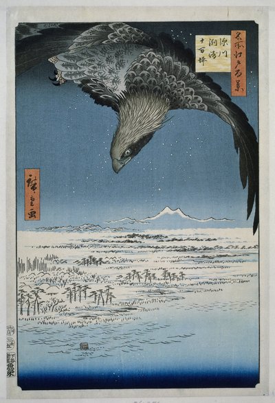A planície de Jumantsubo em Susaki perto de Fukagawa
Fukagawa Susaki Jumantsubo (título sobre o objecto)
Cem pontos de vista famosos de Edo (título da série)
Meisho Edo hyakkei (título da série sobre o objecto) de Hiroshige (I) , Utagawa