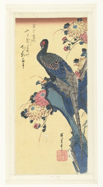 Faisão e crisântemos de Hiroshige (I) , Utagawa