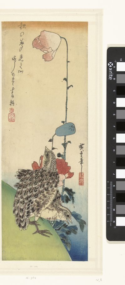 Codornizes e papoilas de Hiroshige (I) , Utagawa
