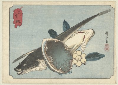 Platvissen, abalone en bessen
Kochi awabi (título sobre o objecto) de Hiroshige (I) , Utagawa