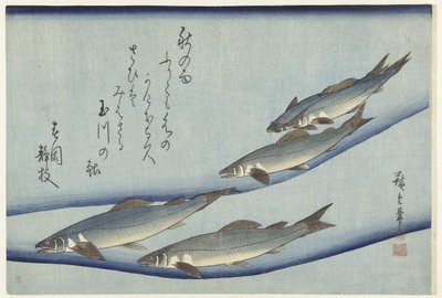 Truta de Hiroshige (I) , Utagawa