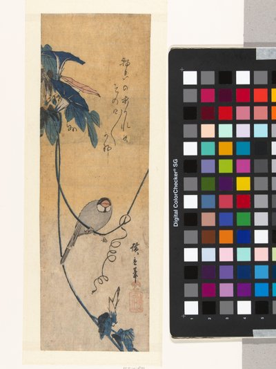 Algas de ave e azuis de Hiroshige (I) , Utagawa