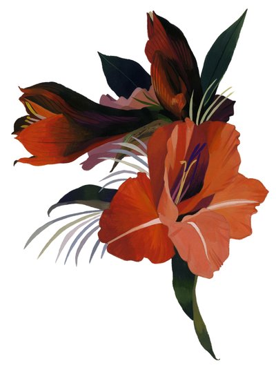 Uma flor imaginária baseada em um amaryllis. de Hiroyuki Izutsu