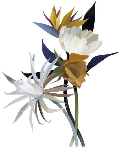 Uma flor imaginária com uma base branca. de Hiroyuki Izutsu
