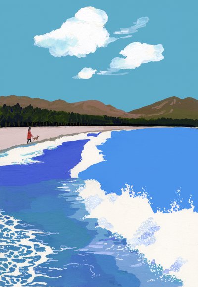 Praia e Pinhal de Hiroyuki Izutsu