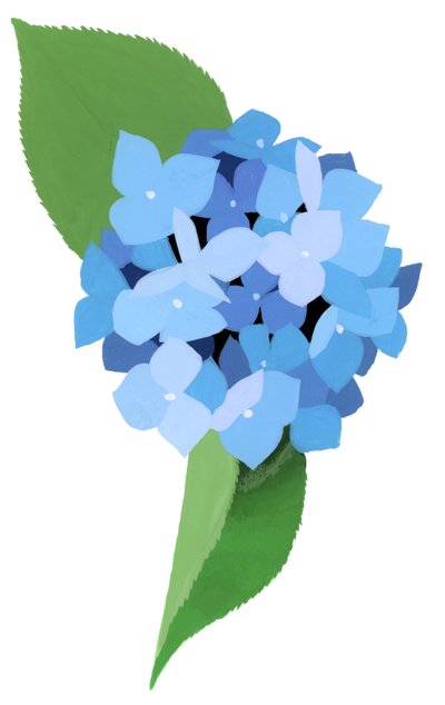 hortênsia de Hiroyuki Izutsu