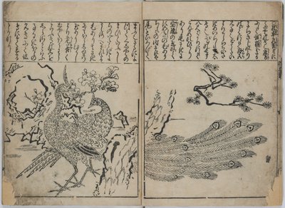 Uma coleção de flores e pássaros (Kacho zukushi) de Hishikawa Moronobu