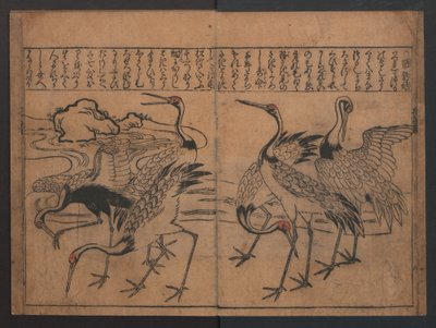 Ilustrações de aves e flores (Kachō e-zukushi) de Hishikawa Moronobu