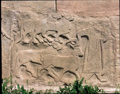 Vista da base dos relevos da Porta da Esfinge de Hittite Hittite