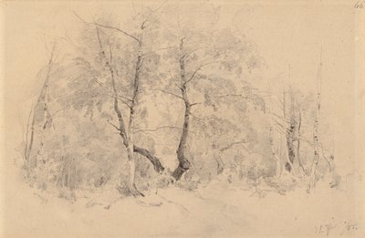 Bosque de bétulas de Hjalmar Munsterhjelm