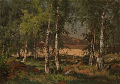 Paisagem com bosque de bétulas e campo de centeio de Hjalmar Munsterhjelm