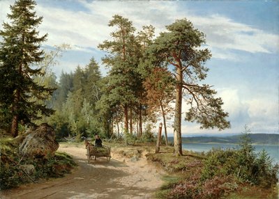 Estrada na Finlândia de Hjalmar Munsterhjelm
