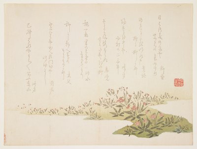 Violetas, c.1848-53 (impressão em xilogravura a cores) de Ho Shu