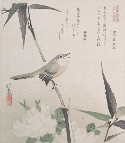 Rosas e Bambu com Rouxinol, Séc. XIX., Séc. XIX. de Hokuba