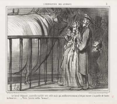 Exposição de Animais: A Vaca-Elefante, Nova Variedade de Honoré Daumier
