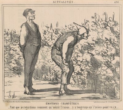 Tenho que ver como a uva amadurece... de Honoré Daumier