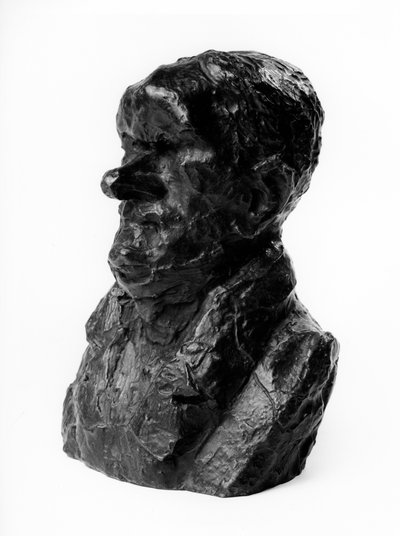 As cargas de bustos do "Celebrites du Juste Milieu" "Caricatura de Auguste Ganneron (1792-1847), deputado e industrialista. Os tímidos". Escultura de Honore Daumier (1808-1879) do século XIX. Inv L 48,4 Dim em cm H 18 x L 13 Musee des Beaux Arts, Palais Lo de Honoré Daumier