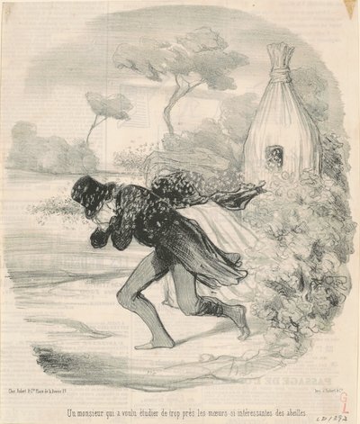 Un monsieur qui voulu étudier ... les moeurs ... des abeilles de Honoré Daumier