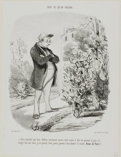 "- E, no entanto, este ano, as minhas dálias continuam a ter o tom mais brilhante de ponceau ... ... apesar de todos os meus cuidados, nunca conseguirei dar-lhes o tom de Boue de Paris!...", placa 6 de Tout Ce Qu