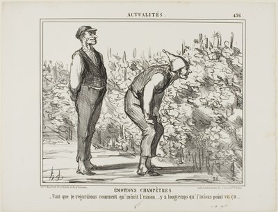 Emoções do campo. "- É preciso ver como cresce o vinho... nunca o vi antes...", chapa 436 de Actualités de Honoré Victorin Daumier