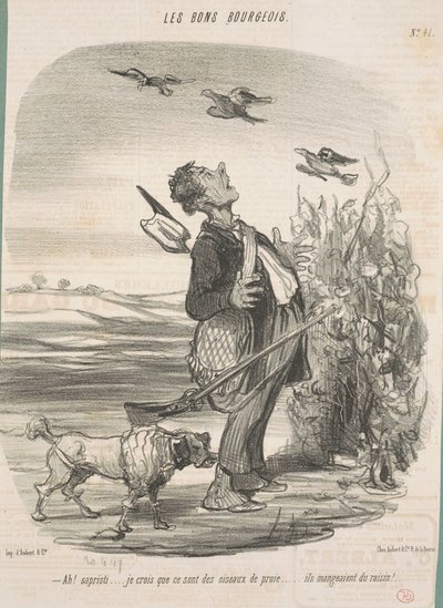 Ah! ...acredito que sejam aves de rapina... de Honoré Daumier