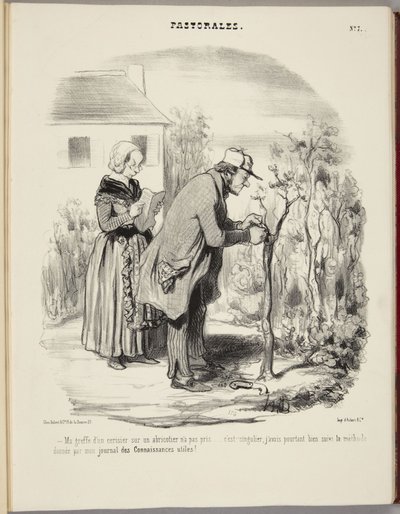 O meu enxerto de uma cerejeira num damasqueiro não pegou... de Honoré Daumier