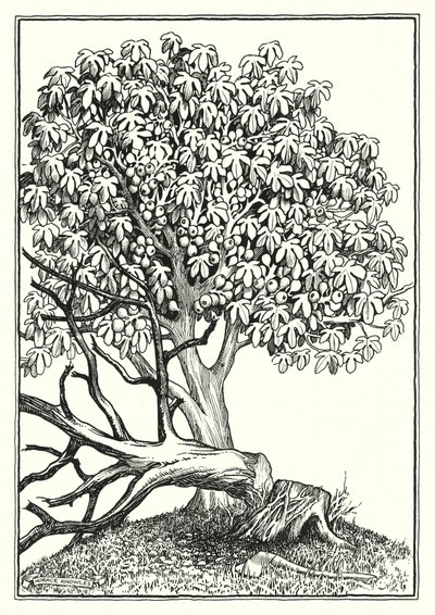 Ilustração para O Sermão da Montanha (gravura) de Horace J. Knowles